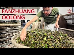 Taiwan's Forgotten Cultivars: Fanzhuang Tea Production with Simon