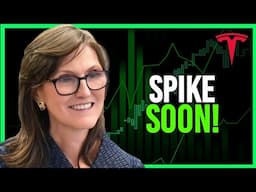 Cathie Wood: DON'T SELL Your TESLA STOCK or Else Lose OUT on THIS!