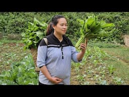 A Day Of Harvesting Ginger & Green Vegetables In The Garden Goes to market sell - Lý Thị Ca