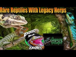 Youve Never Heard Of These Reptiles Before! Talking Rare Reptiles With Legacy Herps