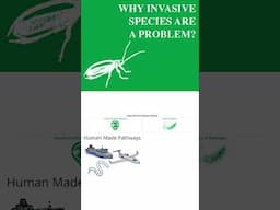 How Invasive Species Spread