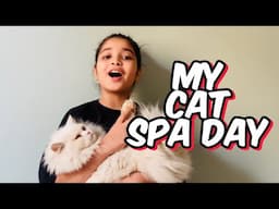 Aayat Arif || My Cat Spa Day || vlog