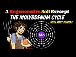 The Molybdenum Cycle | Regenerative Soil with Matt Powers