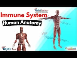 Immune System | Integumentary System |Human Anatomy |Digital Teacher (Part #8)