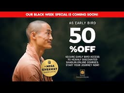 💮 Shaolin.Online Black Week Trailer Part One 💮 Get Up to 50% Early Bird Discount