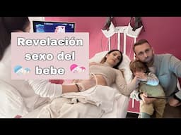 VLOG Revelación Sexo del Bebé  NIÑO O NIÑA ? 🍼 | Cumple Héctor, Luces de Navidad...