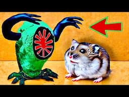 ☠️🐹EPIC Hamster Maze with Traps 😱[OBSTACLE COURSE]😱