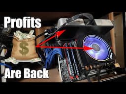 CPU And GPU Mining PROFITS Are BACK!! - Warthog Doing Things!!!