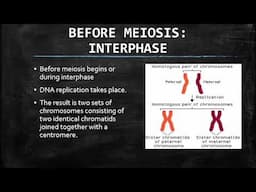 LIFE SCIENCES: MEIOSIS PART 1 GRADE 12