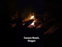 Fireside on Cannon Beach, Oregon. #foodie #beach #cannonbeach #bonfire #summervibes summervibes