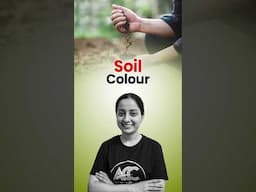 || Soil Colour ||