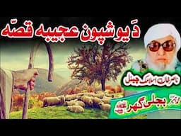 Molana Bijli ghar رحمته الله علیه Poshto bayan دَ یو شپون بیان