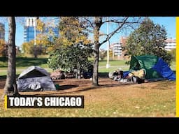 Chicago's WORST Nightmare: HOMELESSNESS CRISIS Explained