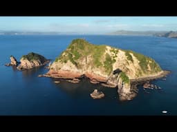 Island Hopping. Land Based Fishing New Zealand