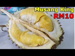 10 RM  / SGD$3.10 Musang King Durian at Malaysia | Last Cheap Durian Season Before China Reimport