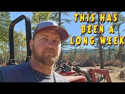 SO MUCH DONE IN THREE DAYS |tiny house, homesteading off-grid cabin build DIY HOW TO sawmill tractor