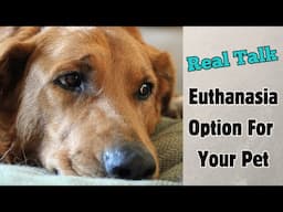 Overcoming Pet Grief: Facing Loss And Finding Peace With Euthanasia