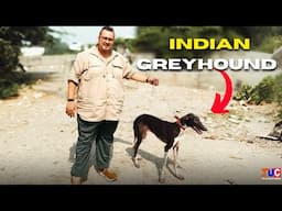 Rarest Indian Dog Breed People Don't Know About!😱