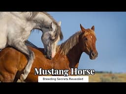 Mustang Horse Breeding Secrets Revealed