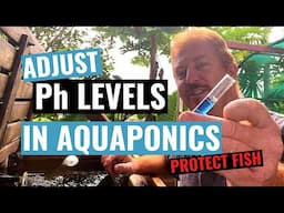 Aquaponics System Water Testing- Check Water Quality for Fish Health