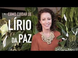 Faça seu LÍRIO da PAZ dar MUITA FLOR! 5 DICAS pra CUIDAR BEM da planta