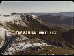 Tasmanian Wild Life (1973)