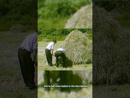 Bringing the hay home  - Traditional Hay making in Ireland