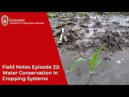 Field Notes Episode 22: Water Conservation in Cropping Systems