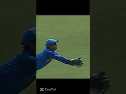 Whose Catch Was the BEST? #cricket #catch #dhoni