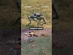 Robot dogs in Ukraine and in the rest of the world. #robot #technology #drones #science