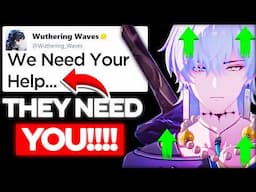 The Devs Need You! Wuthering Waves