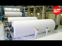 Ever Wondered How Paper is Made from Tree? Behind the Scenes of Paper Factory