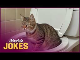 The FUNNIEST Cats and Animals!! 🤣 | Ultimate Home Videos Compilation