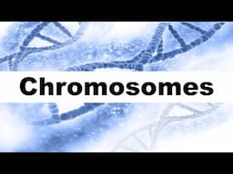 Chromosome Structure and Function I Autosomes and Sex Chromosomes