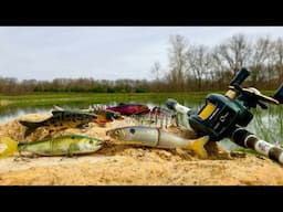 SWIMBAIT BASS FISHING CHALLENGE (CRAZY RESULTS)!!!