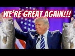 We are GREAT AGAIN!!! Trump talk + Lake Fork Bass Fishing Top Baits live!!!