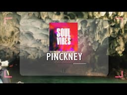 Pinckney Sovib 108229147 | Harmony of Peace: Soft Music Reverie