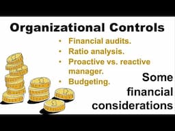 Organizational Control: Financial control considerations | definition