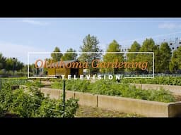 Lynn Institute Community Garden at Chesapeake