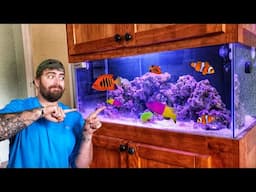 My MOST EXPENSIVE AQUARIUM *Reveal*