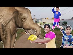 Elephant need Banana 🍌 😩 | comedy video | funny video | Prabhu sarala lifestyle