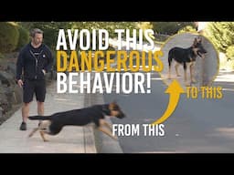 STOP Your Dog From Running Into The Street For GOOD