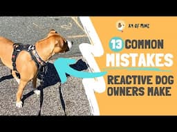 13 MISTAKES Reactive Dog Owners Make