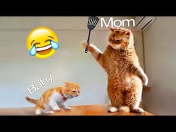 Crazy animals will make you LAUGH TO DIE 😅 Funniest cats and dogs 😂