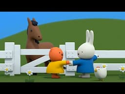 Miffy and The Horse | Miffy | Cartoons for kids