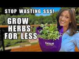 Grow Herbs Year-Round in 1 Container for Pennies - STOP Wasting Cash on Store Bought!