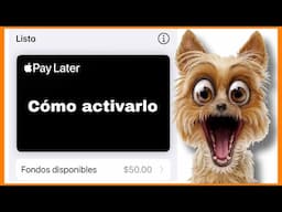 ¿Cómo activar Apple Pay Later?