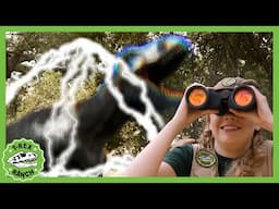 The EPIC Dinosaur Trap | 🦖🦕 T-Rex Ranch Dinosaur Videos