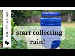 How to Make a DIY Rain Barrel for Under $100!