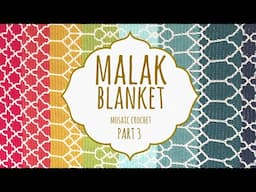 ✨ MALAK BLANKET ✨ PART 3 | Mosaic Crochet | Lanas y Ovillos in English